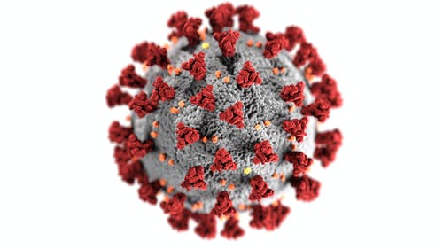 Coronavirus.jpeg