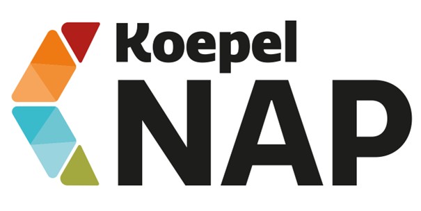 NAP logo (1)
